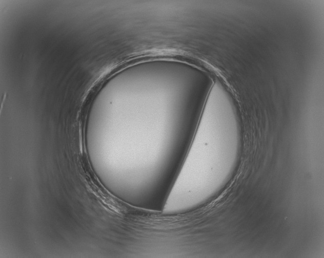 X0000054471171200507291040