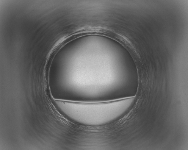 X0000054471172200507291040