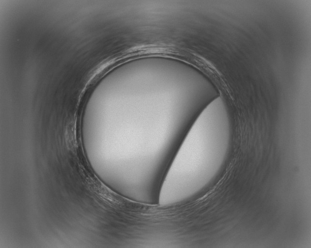 X0000054471174200507291039