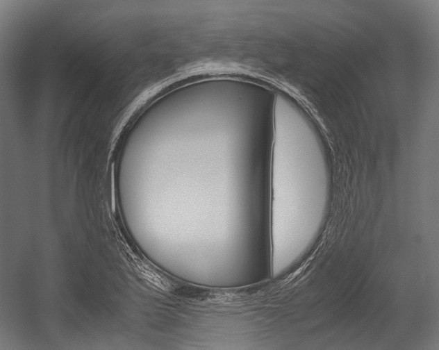 X0000054471175200507291039