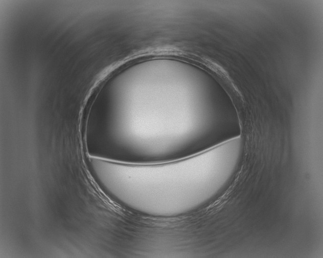 X0000054471176200507291039