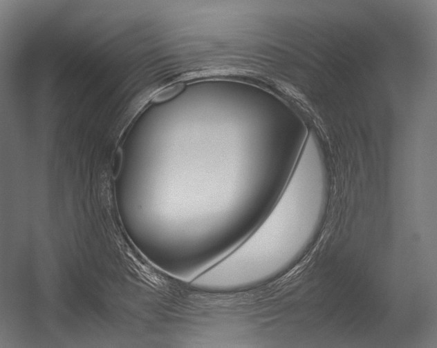 X0000054471177200507291039
