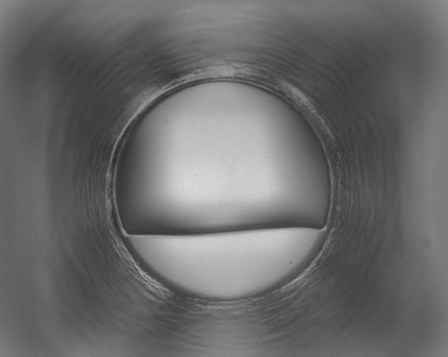 X0000054471178200507291039