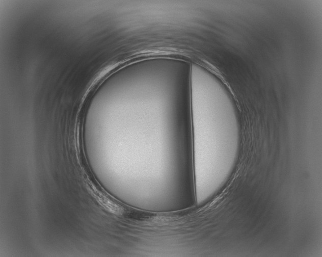 X0000054471179200507291039