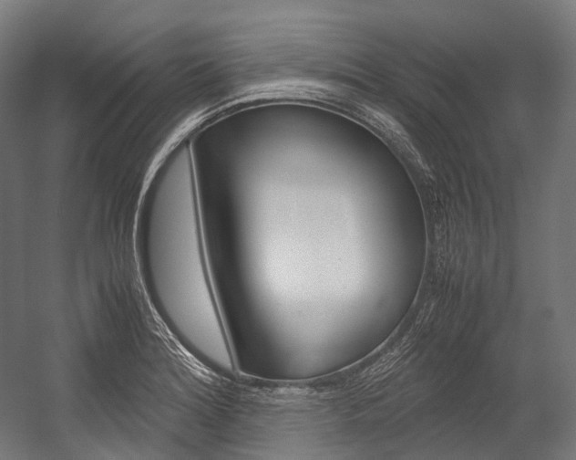X0000054471180200507291039
