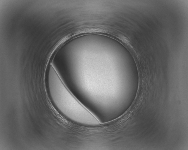X0000054471181200507291039