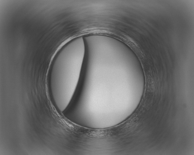 X0000054471182200507291039