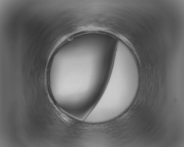 X0000054471183200507291039