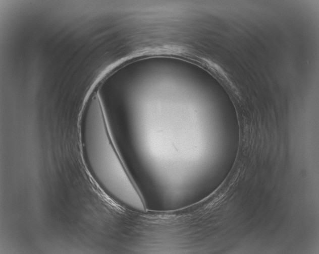 X0000054471184200507291039