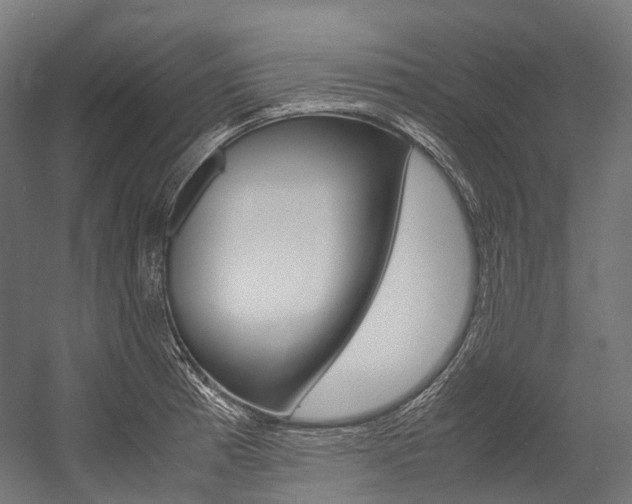 X0000054471185200507291039