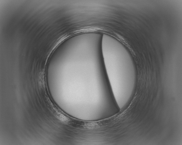 X0000054471186200507291039