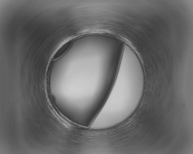 X0000054471187200507291039