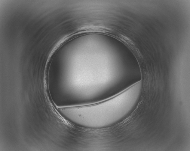 X0000054471188200507291039