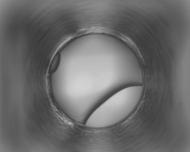 X0000054471190200507291039