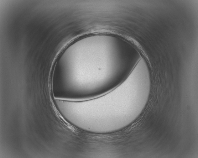 X0000054471191200507291039