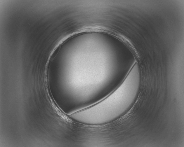 X0000054471192200507291039