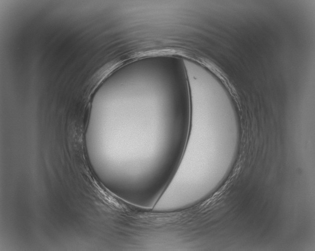 X0000054471193200507291039