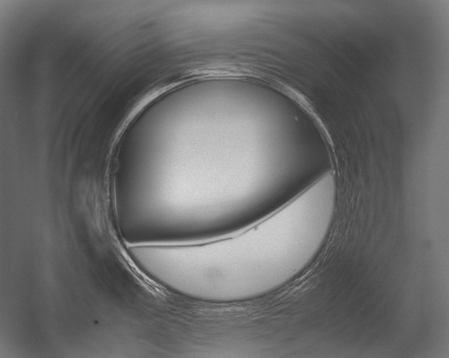 X0000054471195200507291039