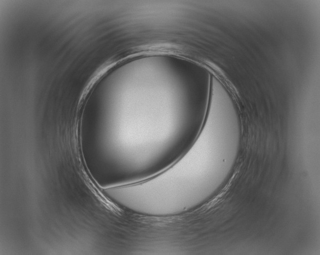 X0000054471196200507291039