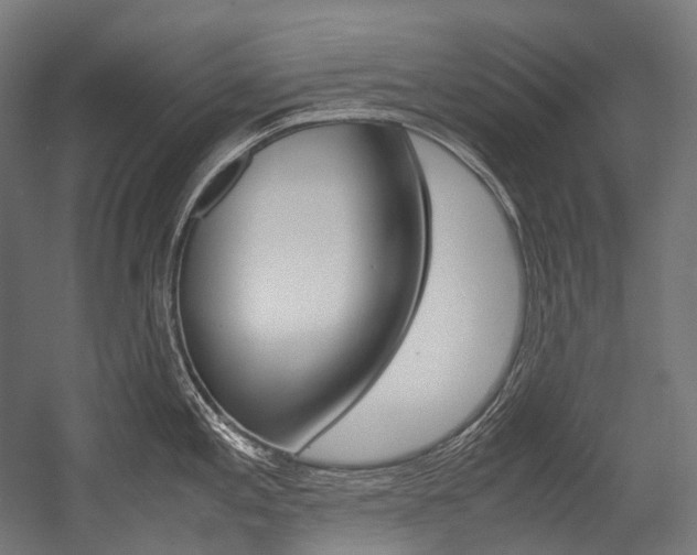 X0000054471197200507291039