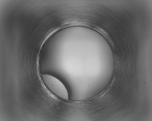 X0000054471198200507291039