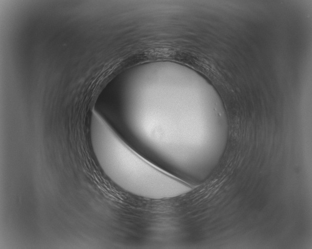 X0000054471201200507291038