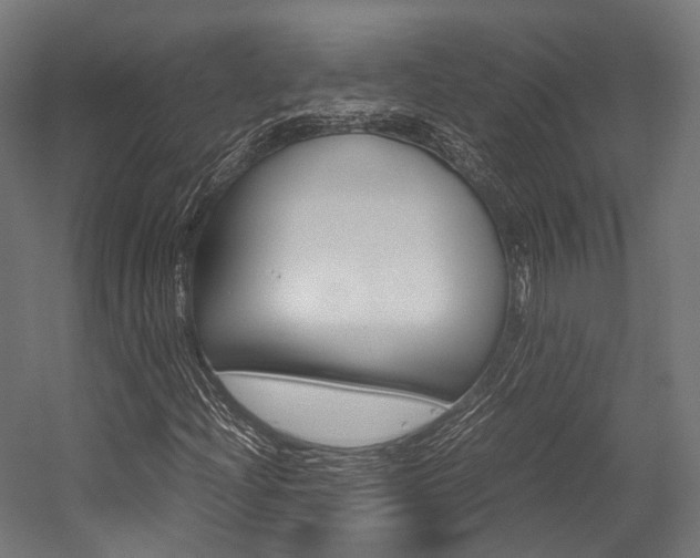 X0000054471204200507291038