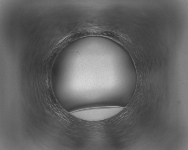 X0000054471205200507291038