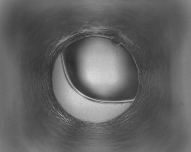 X0000054471206200507291038