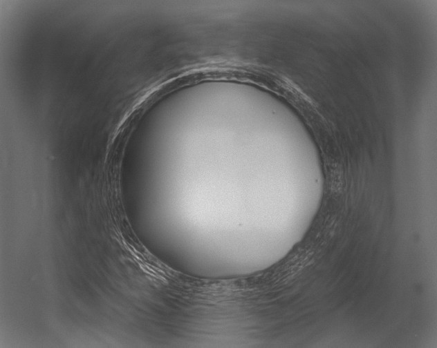 X0000054471208200507291038