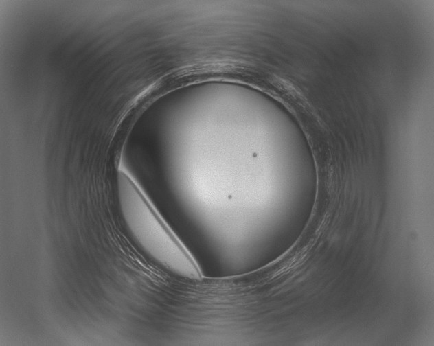 X0000054471210200507291038