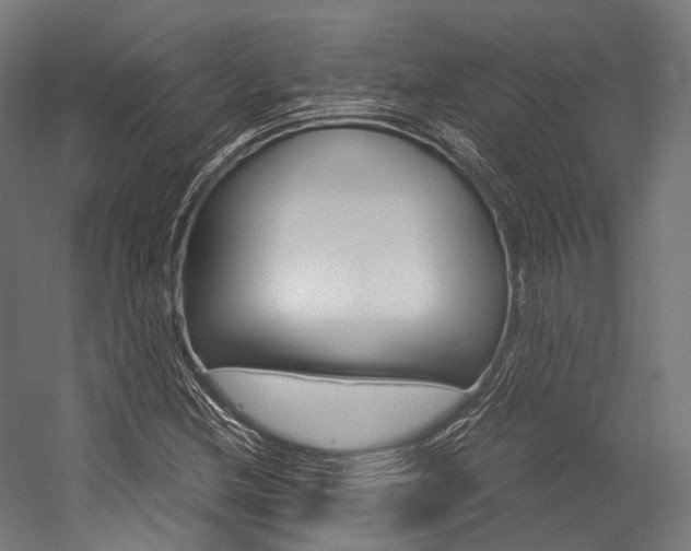 X0000054471212200507291038