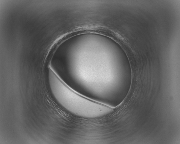 X0000054471214200507291038