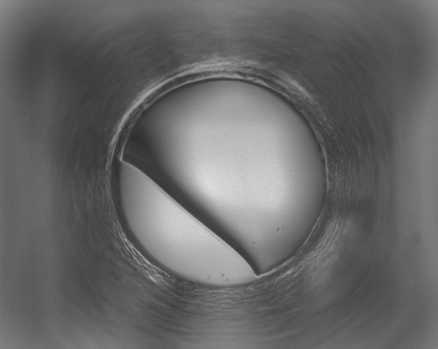 X0000054471216200507291038