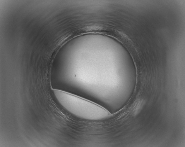 X0000054471217200507291039