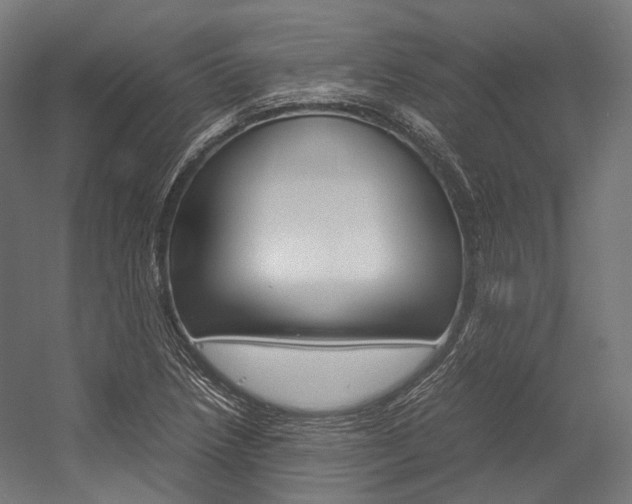 X0000054471218200507291039