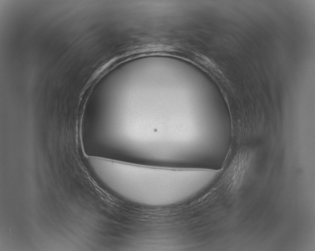 X0000054471220200507291039