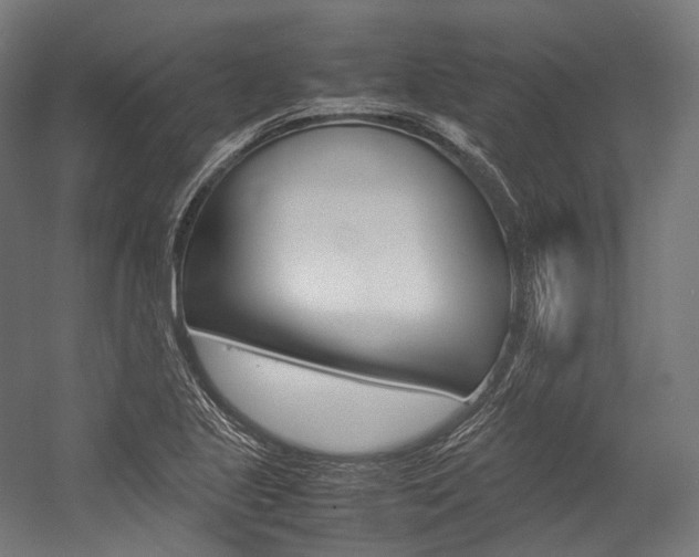 X0000054471221200507291039