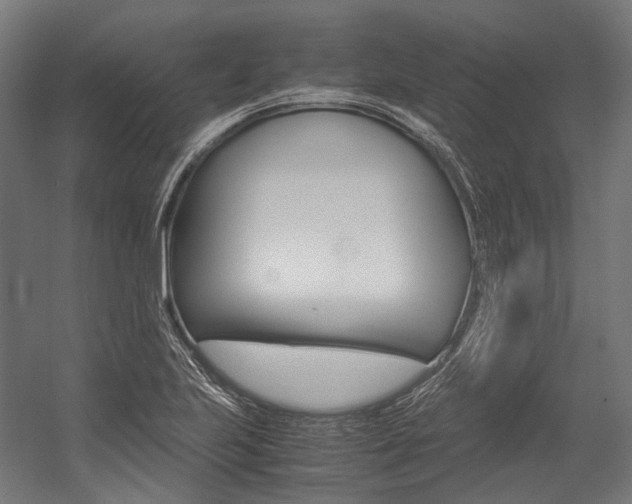 X0000054471223200507291039