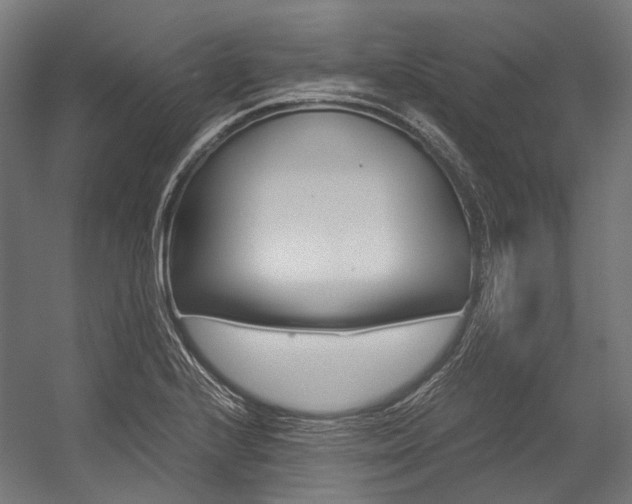 X0000054471224200507291039