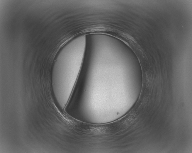 X0000054471225200507291039