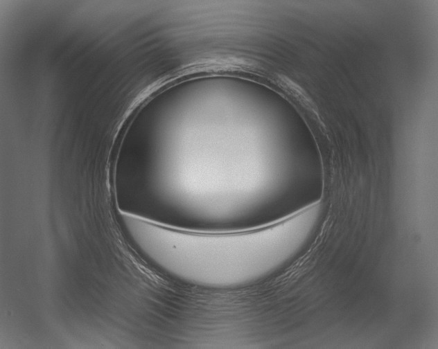 X0000054471226200507291039