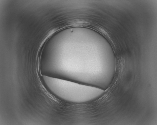 X0000054471227200507291039