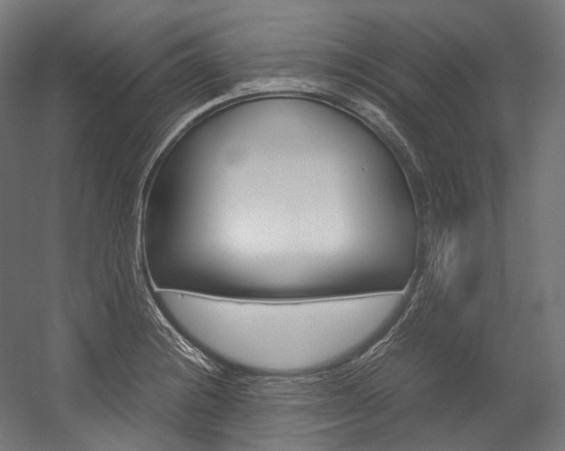 X0000054471228200507291039