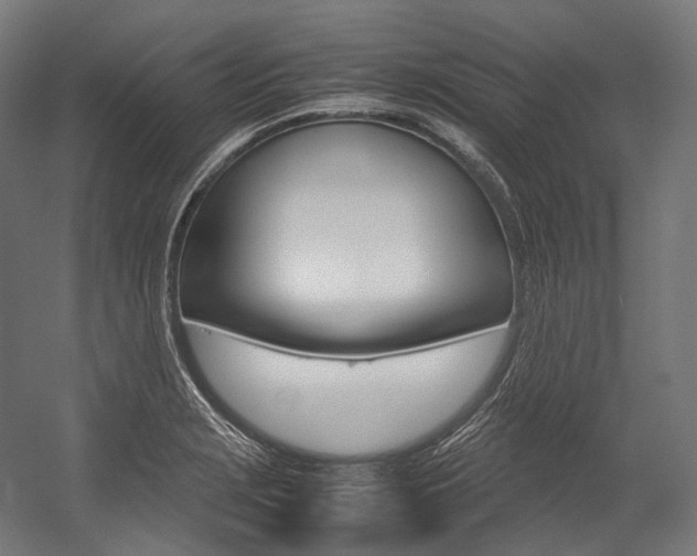 X0000054471229200507291039