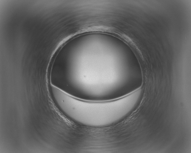 X0000054471230200507291039