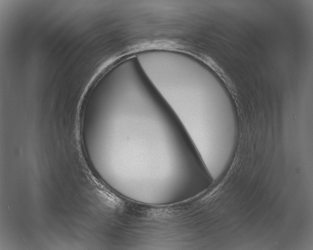 X0000054471232200507291039