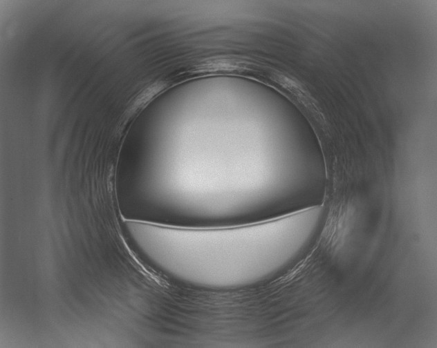 X0000054471233200507291039