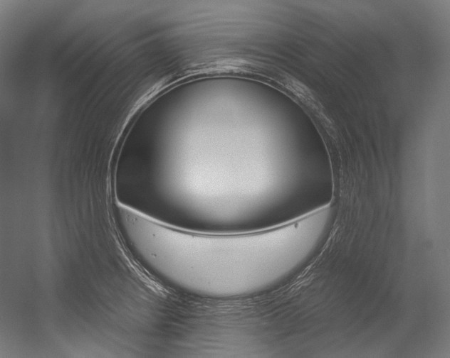 X0000054471234200507291039