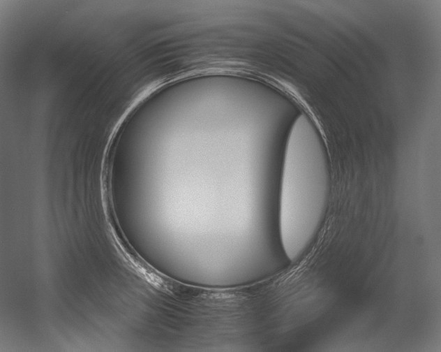 X0000054471235200507291039